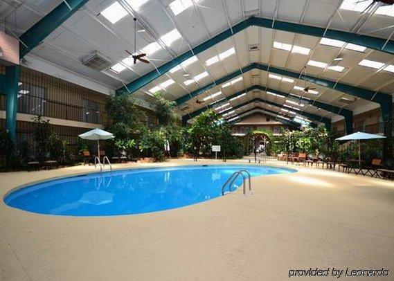 Rodeway Inn Cow Palace Lamar 设施 照片